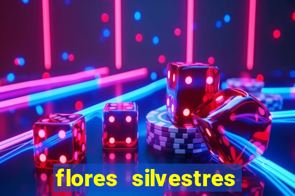 flores silvestres desbravadores desbravadores 25