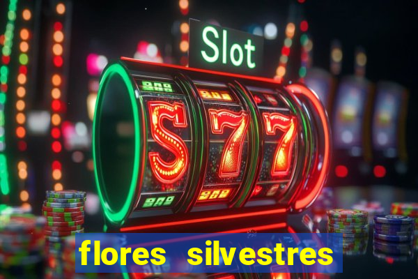 flores silvestres desbravadores desbravadores 25