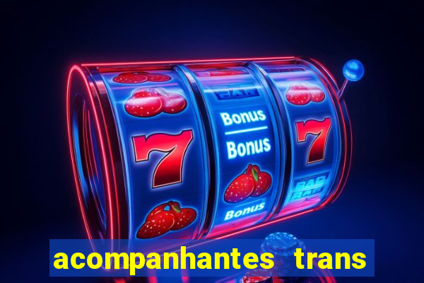 acompanhantes trans baixada fluminense