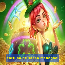 fortuna de sasha meneghel