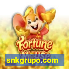 snkgrupo.com