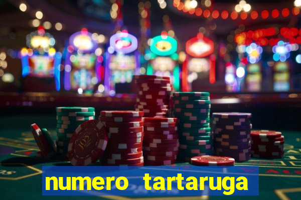 numero tartaruga jogo do bicho