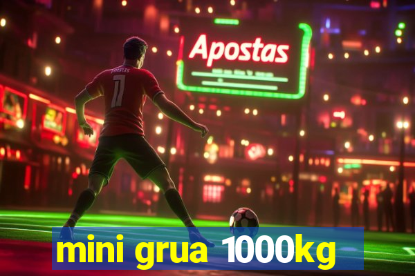 mini grua 1000kg