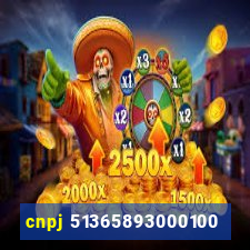 cnpj 51365893000100