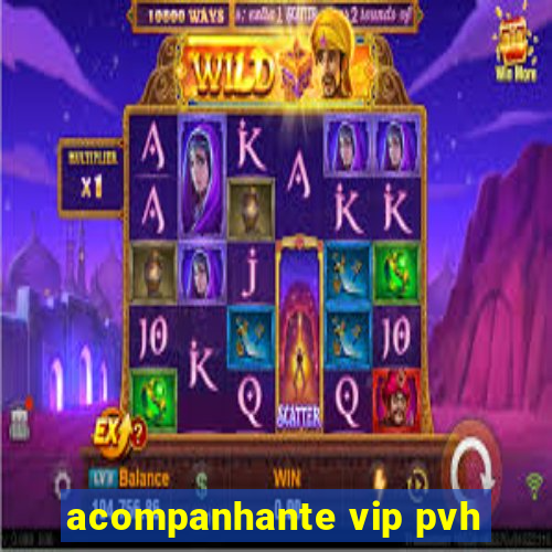 acompanhante vip pvh