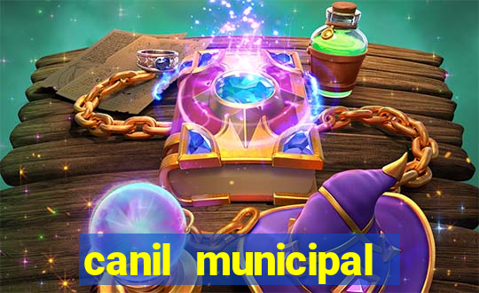 canil municipal porto alegre