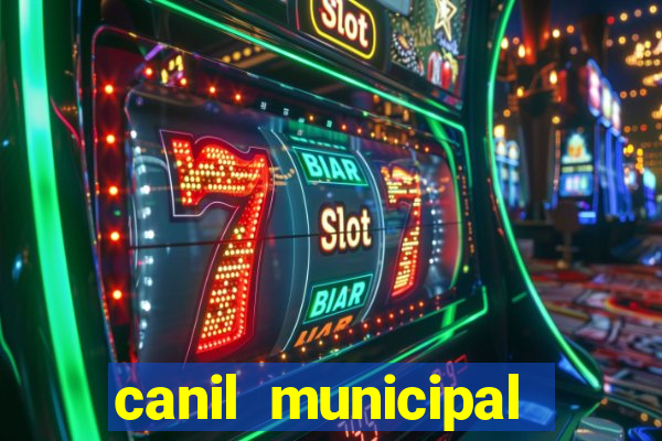 canil municipal porto alegre