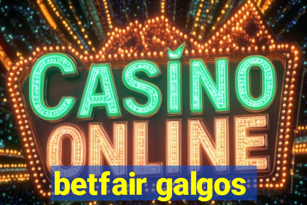 betfair galgos