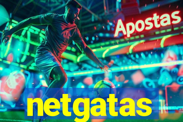 netgatas