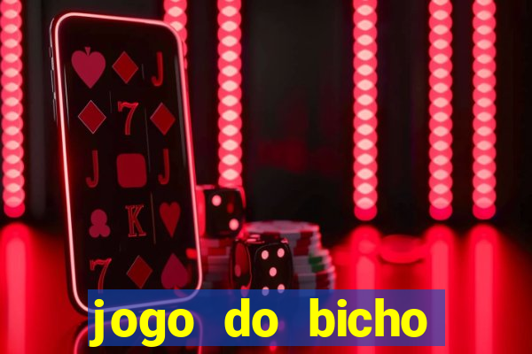 jogo do bicho documentario globoplay