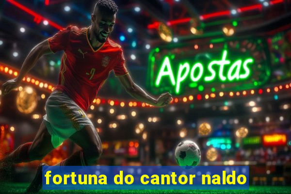 fortuna do cantor naldo