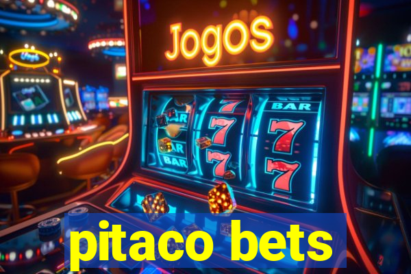 pitaco bets