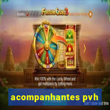 acompanhantes pvh