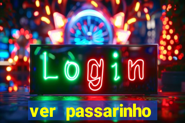 ver passarinho morto significado