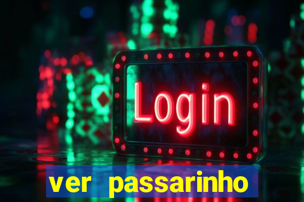 ver passarinho morto significado