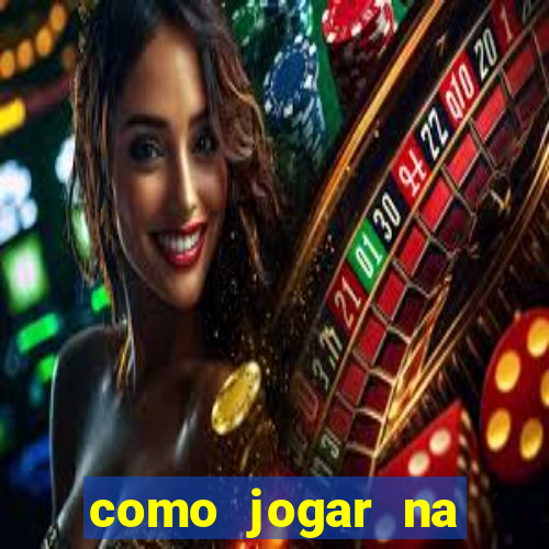 como jogar na lotinha do jogo do bicho