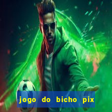 jogo do bicho pix da sorte