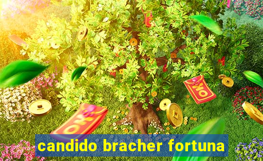 candido bracher fortuna