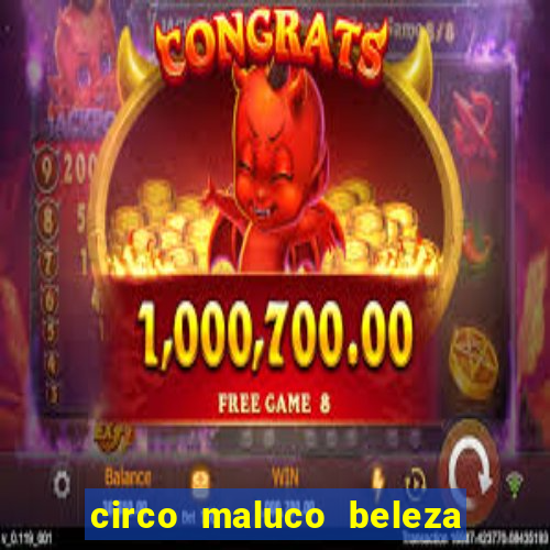 circo maluco beleza recife circo maluco