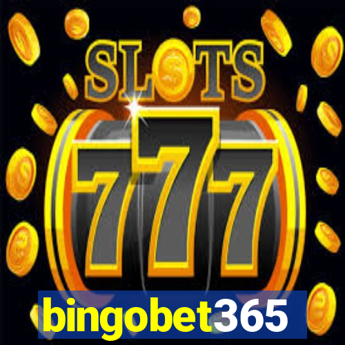 bingobet365