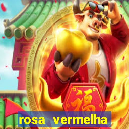 rosa vermelha (letra e cifra)