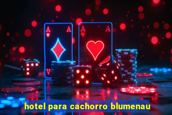 hotel para cachorro blumenau