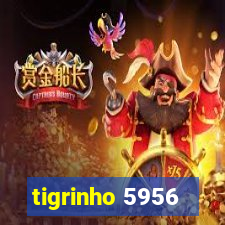 tigrinho 5956