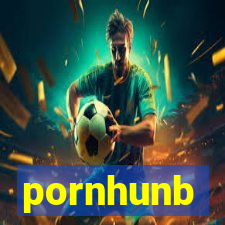 pornhunb