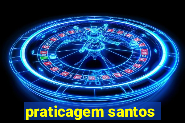 praticagem santos