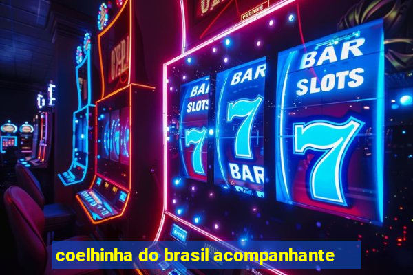 coelhinha do brasil acompanhante