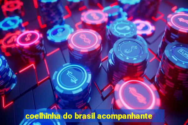 coelhinha do brasil acompanhante