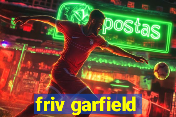 friv garfield