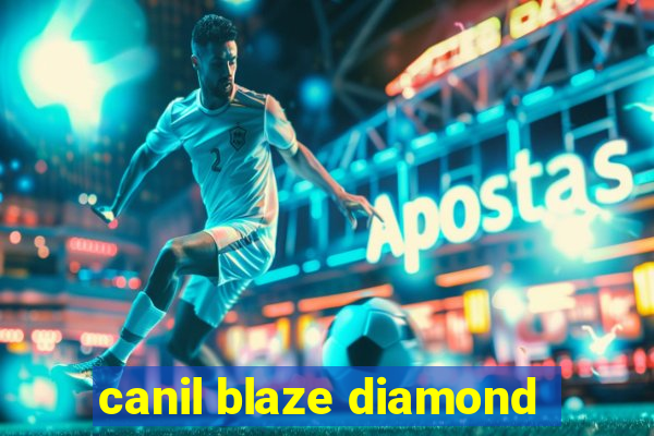 canil blaze diamond