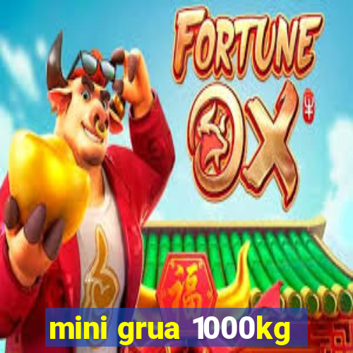 mini grua 1000kg