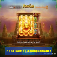 neca santos acompanhante