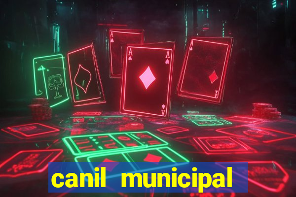 canil municipal porto alegre