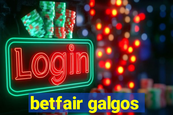 betfair galgos