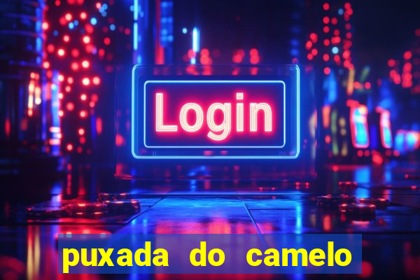 puxada do camelo jogo do bicho