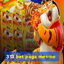 313 bet paga mesmo