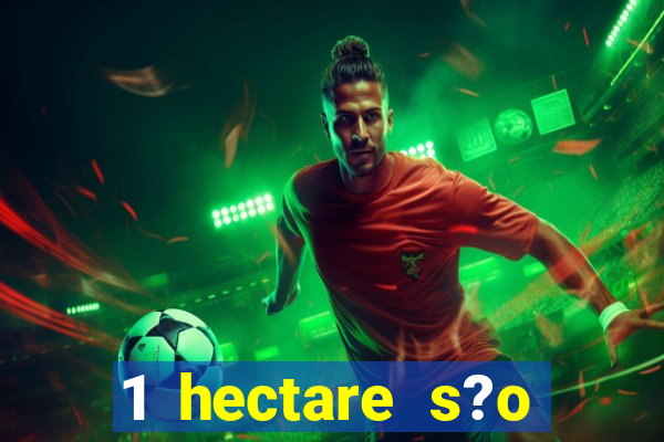 1 hectare s?o quantas tarefas na bahia